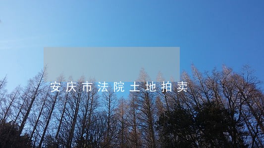 安庆市法院土地拍卖
