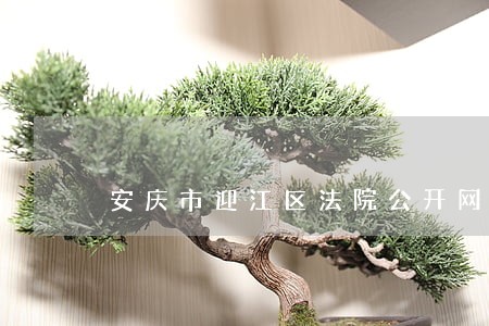 安庆市迎江区法院公开网 安庆市迎江区法院公开网