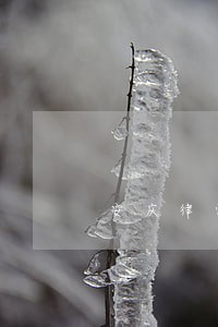 安庆律师咨询 安庆律师咨询