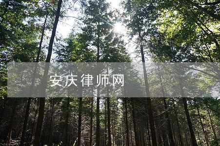 安庆律师网