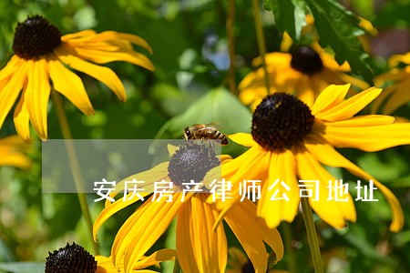 安庆房产律师公司地址 安庆房产律师公司地址