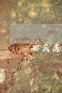 安庆房产律师收费标准 安庆房产律师收费标准