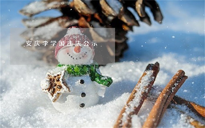 安庆李学国违法公示 安庆李学国违法公示