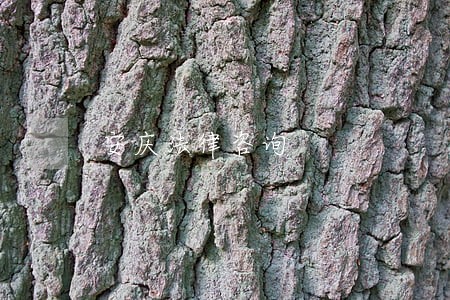 安庆法律咨询 安庆法律咨询
