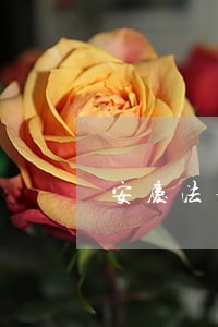 安庆法律咨询网