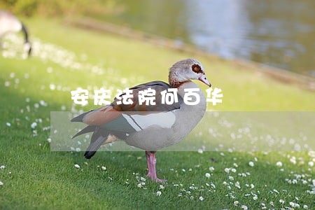 安庆法院何百华