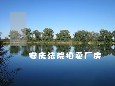 安庆法院拍卖厂房