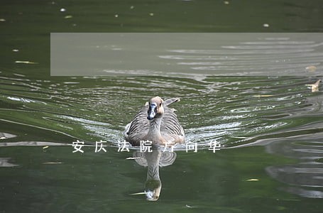 安庆法院方向华 安庆法院方向华