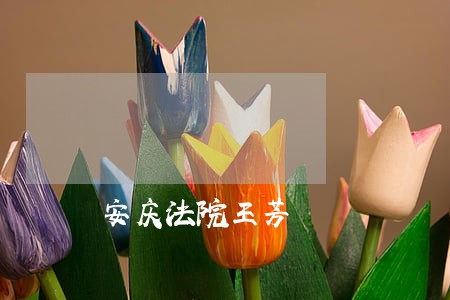 安庆法院王芳 安庆法院王芳