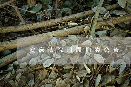 安庆法院门面拍卖公告 安庆法院门面拍卖公告