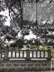安庆税务公职律师 安庆税务公职律师