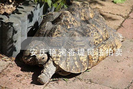 安庆艳澜香堤司法拍卖 安庆艳澜香堤司法拍卖