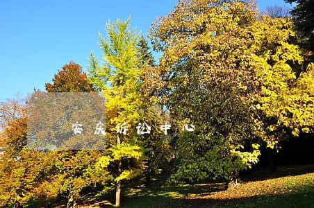 安庆诉讼中心 安庆诉讼中心