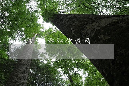 安庆诉讼仲裁网 安庆诉讼仲裁网