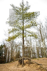 安庆首例公益诉讼案件 安庆首例公益诉讼案件