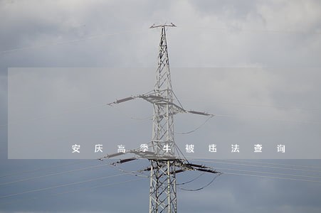 安庆高季牛被违法查询