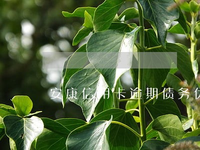 安康信用卡逾期债务优化怎么收费