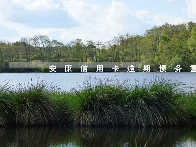 安康信用卡逾期债务重组怎么协商