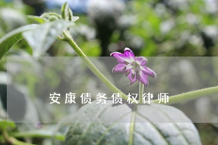 安康债务债权律师 安康债务债权律师