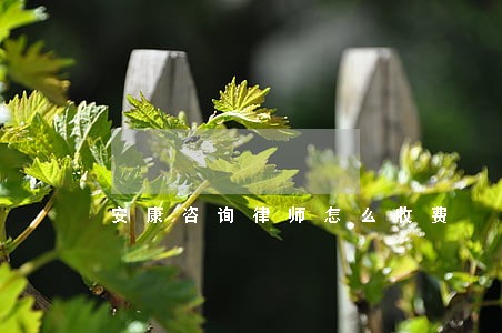 安康咨询律师怎么收费 安康咨询律师怎么收费