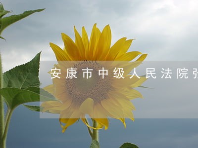 安康市中级人民法院张董 安康市中级人民法院张董