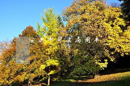 安康市司法局周丰 安康市司法局周丰