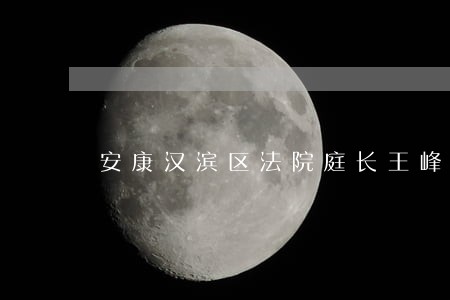 安康汉滨区法院庭长王峰 安康汉滨区法院庭长王峰