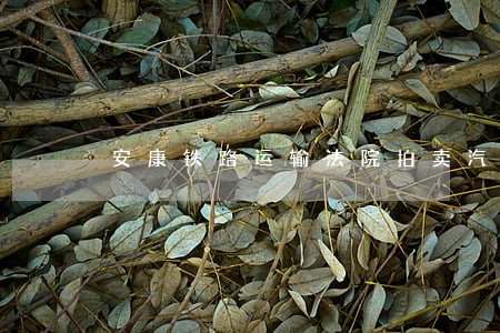 安康铁路运输法院拍卖汽车 安康铁路运输法院拍卖汽车