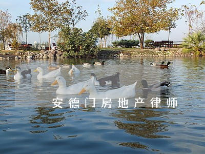 安德门房地产律师 安德门房地产律师