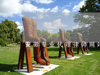 安徽专业代理律师网站 安徽专业代理律师网站