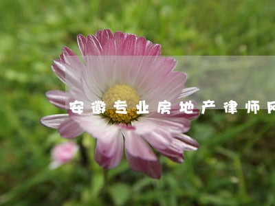 安徽专业房地产律师网站 安徽专业房地产律师网站