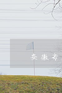 安徽专业拆迁律师咨询电话