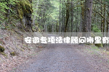 安徽专项法律顾问哪里有 安徽专项法律顾问哪里有