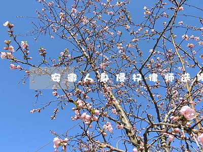 安徽人身侵权律师选哪家 安徽人身侵权律师选哪家