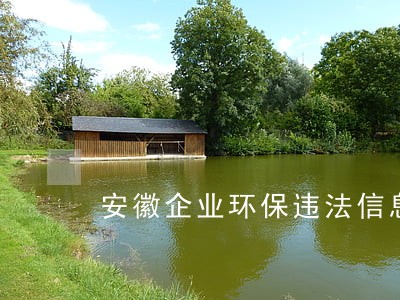 安徽企业环保违法信息查询