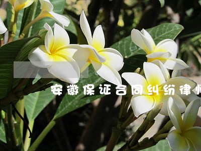 安徽保证合同纠纷律师 安徽保证合同纠纷律师
