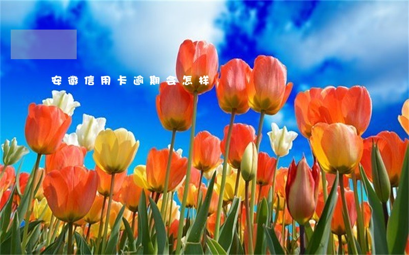安徽信用卡逾期会怎样 安徽信用卡逾期会怎样