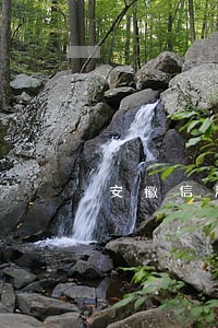 安徽信用卡逾期黑名单公告 安徽信用卡逾期黑名单公告