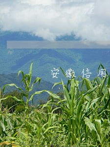 安徽信用社信用卡逾期四天 安徽信用社信用卡逾期四天