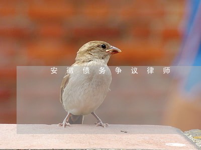安徽债务争议律师 安徽债务争议律师