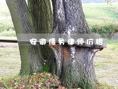 安徽债务律师价格 安徽债务律师价格