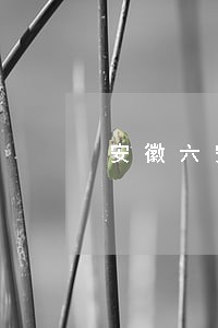 安徽六安严查五起土地违法案件