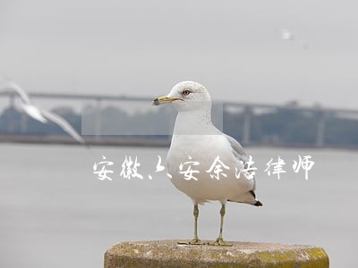 安徽六安余浩律师