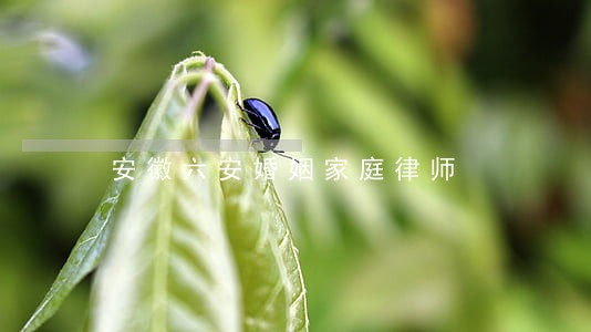 安徽六安婚姻家庭律师