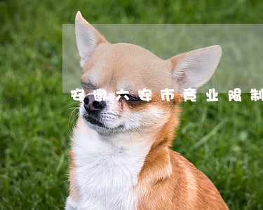 安徽六安市竞业限制律师推荐 安徽六安市竞业限制律师推荐