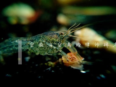 安徽六安离婚律师排名 安徽六安离婚律师排名