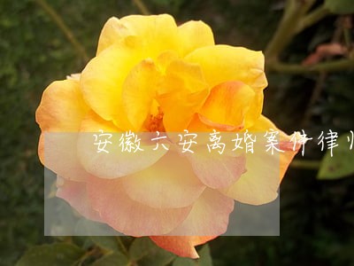 安徽六安离婚案件律师费