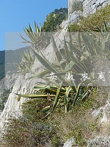安徽农商银行e贷能逾期几天 安徽农商银行e贷能逾期几天