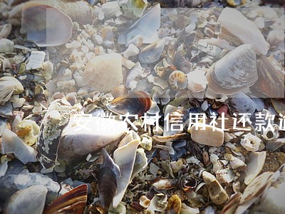 安徽农村信用社还款逾期一天 安徽农村信用社还款逾期一天