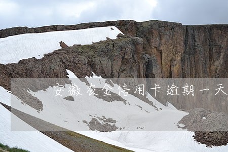 安徽农金信用卡逾期一天 安徽农金信用卡逾期一天